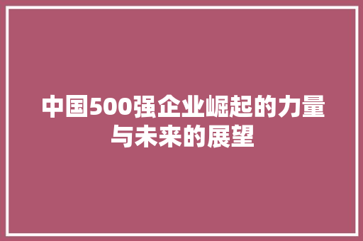 中国500强企业崛起的力量与未来的展望