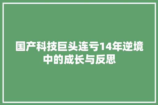 国产科技巨头连亏14年逆境中的成长与反思