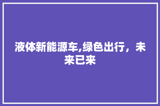 液体新能源车,绿色出行，未来已来