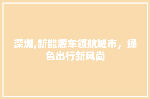 深圳,新能源车领航城市，绿色出行新风尚