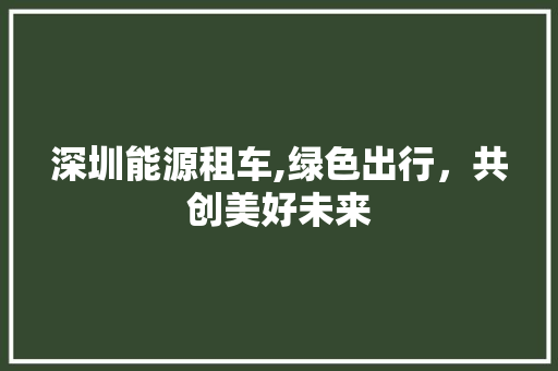 深圳能源租车,绿色出行，共创美好未来  第1张