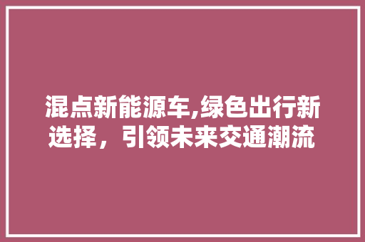 混点新能源车,绿色出行新选择，引领未来交通潮流