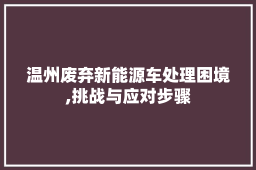 温州废弃新能源车处理困境,挑战与应对步骤