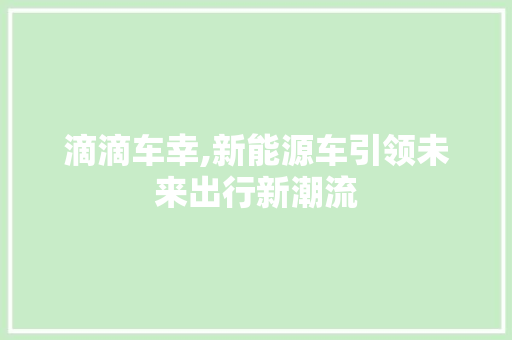 滴滴车幸,新能源车引领未来出行新潮流