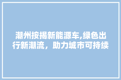 潮州按揭新能源车,绿色出行新潮流，助力城市可持续发展