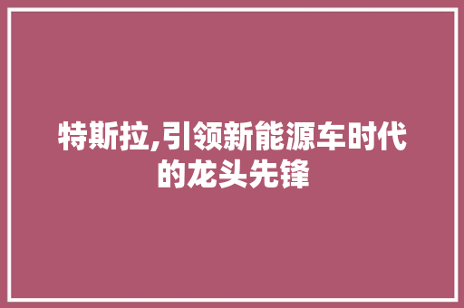 特斯拉,引领新能源车时代的龙头先锋