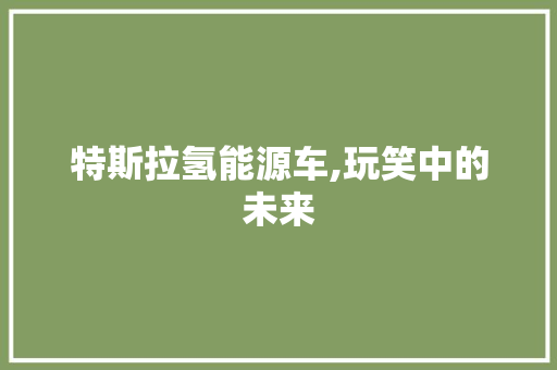 特斯拉氢能源车,玩笑中的未来