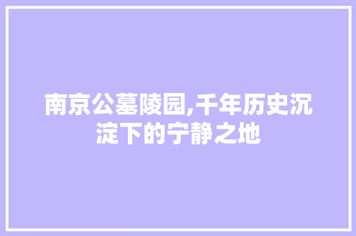 南京公墓陵园,千年历史沉淀下的宁静之地  第1张