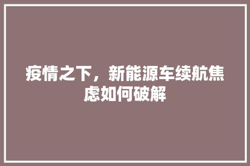 疫情之下，新能源车续航焦虑如何破解  第1张