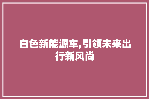 白色新能源车,引领未来出行新风尚