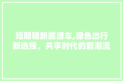 短期租新能源车,绿色出行新选择，共享时代的新潮流