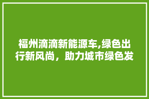 福州滴滴新能源车,绿色出行新风尚，助力城市绿色发展