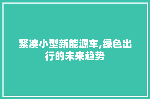 紧凑小型新能源车,绿色出行的未来趋势  第1张