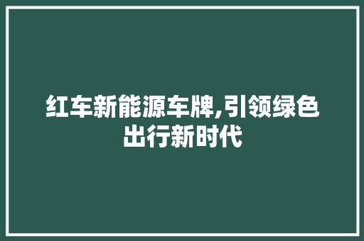 红车新能源车牌,引领绿色出行新时代