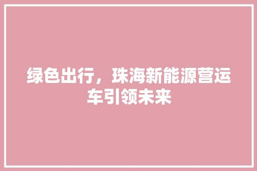 绿色出行，珠海新能源营运车引领未来  第1张