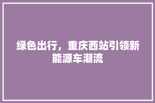 绿色出行，重庆西站引领新能源车潮流