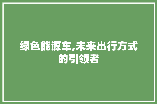绿色能源车,未来出行方式的引领者