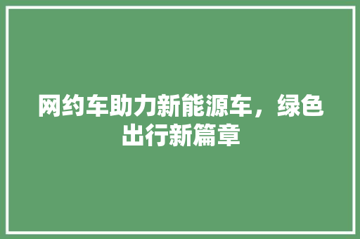 网约车助力新能源车，绿色出行新篇章  第1张