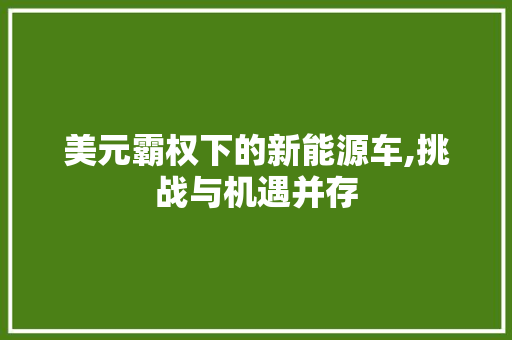 美元霸权下的新能源车,挑战与机遇并存  第1张