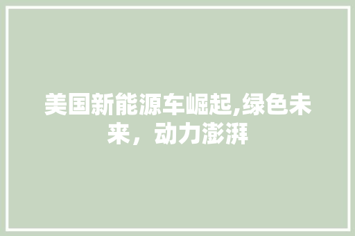 美国新能源车崛起,绿色未来，动力澎湃