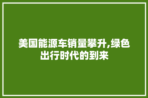 美国能源车销量攀升,绿色出行时代的到来  第1张
