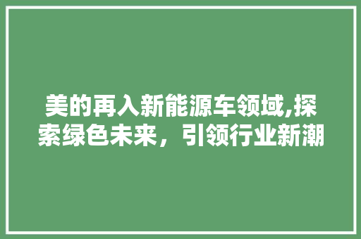 美的再入新能源车领域,探索绿色未来，引领行业新潮流  第1张