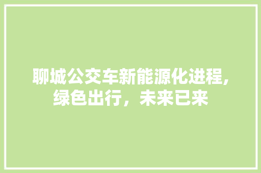 聊城公交车新能源化进程,绿色出行，未来已来  第1张