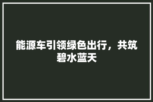 能源车引领绿色出行，共筑碧水蓝天  第1张