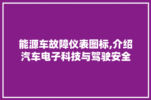 能源车故障仪表图标,介绍汽车电子科技与驾驶安全