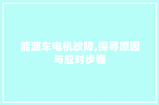 能源车电机故障,探寻原因与应对步骤