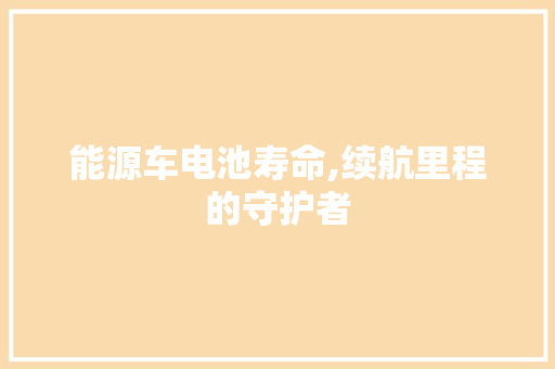 能源车电池寿命,续航里程的守护者