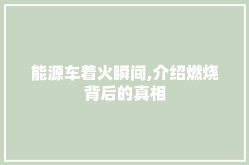 能源车着火瞬间,介绍燃烧背后的真相