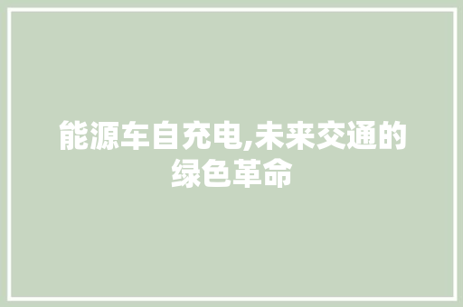 能源车自充电,未来交通的绿色革命  第1张