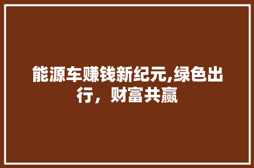 能源车赚钱新纪元,绿色出行，财富共赢