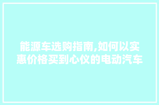 能源车选购指南,如何以实惠价格买到心仪的电动汽车