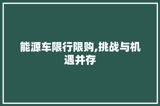 能源车限行限购,挑战与机遇并存