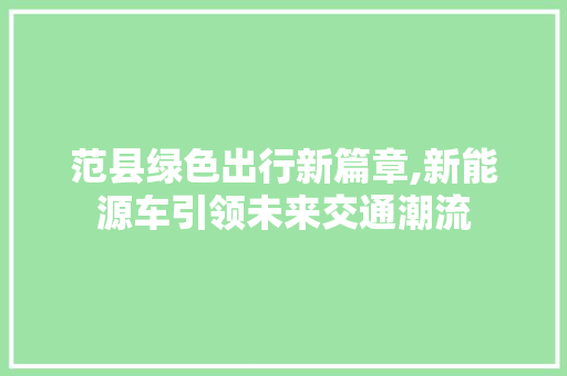 范县绿色出行新篇章,新能源车引领未来交通潮流  第1张