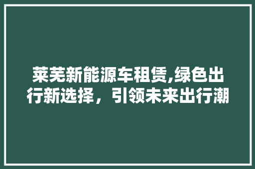 莱芜新能源车租赁,绿色出行新选择，引领未来出行潮流  第1张