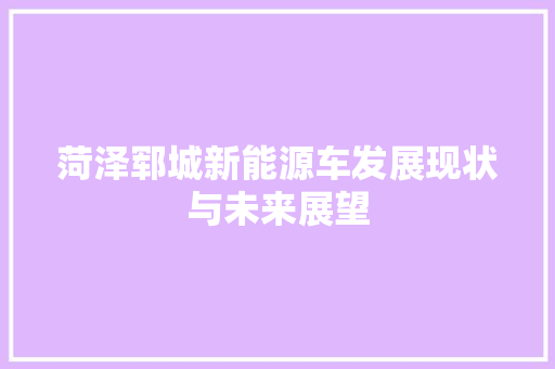 菏泽郓城新能源车发展现状与未来展望