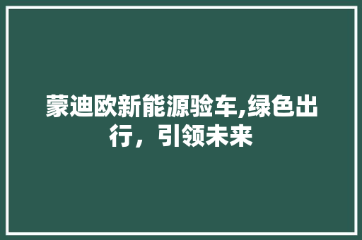 蒙迪欧新能源验车,绿色出行，引领未来  第1张