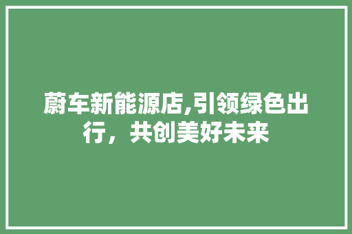 蔚车新能源店,引领绿色出行，共创美好未来  第1张