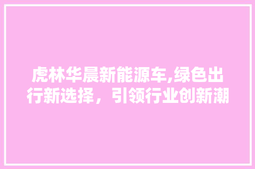 虎林华晨新能源车,绿色出行新选择，引领行业创新潮流