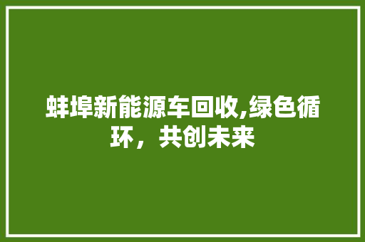 蚌埠新能源车回收,绿色循环，共创未来