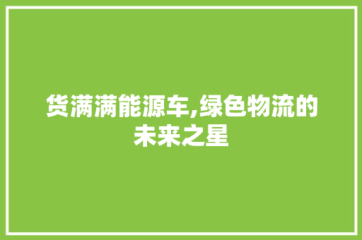 货满满能源车,绿色物流的未来之星  第1张