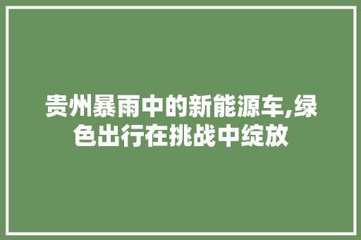 贵州暴雨中的新能源车,绿色出行在挑战中绽放