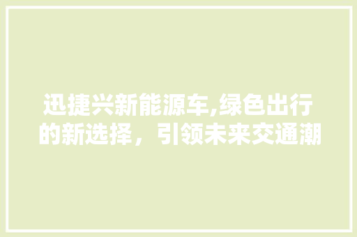 迅捷兴新能源车,绿色出行的新选择，引领未来交通潮流  第1张