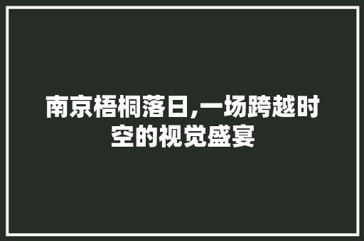 南京梧桐落日,一场跨越时空的视觉盛宴