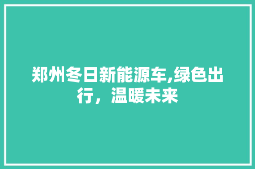 郑州冬日新能源车,绿色出行，温暖未来
