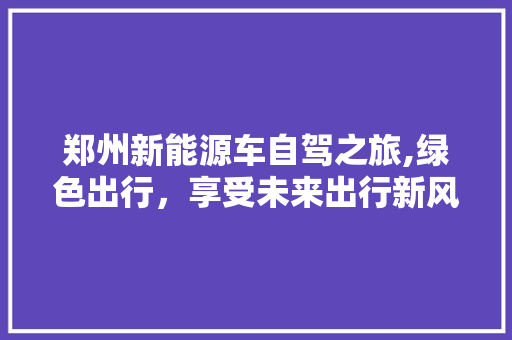 郑州新能源车自驾之旅,绿色出行，享受未来出行新风尚