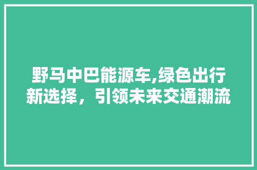 野马中巴能源车,绿色出行新选择，引领未来交通潮流